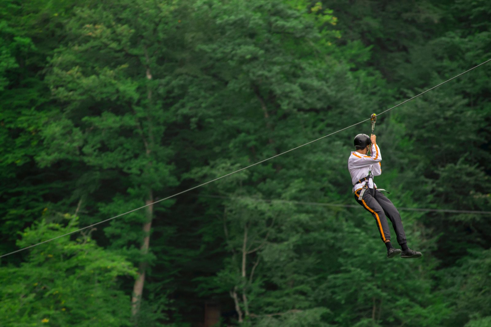 Zakaj je zipline Bovec tako priljubljen